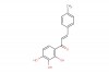 (E)-3-(p-tolyl)-1-(2,3,4-trihydroxyphenyl)prop-2-en-1-one