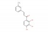 (E)-3-(m-tolyl)-1-(2,3,4-trihydroxyphenyl)prop-2-en-1-one