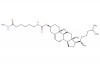 (3S,8S,9S,10R,13R,14S,17R)-10,13-dimethyl-17-((R)-6-methylheptan-2-yl)-2,3,4,7,8,9,10,11,12,13,14,15,16,17-tetradecahydro-1H-cyclopenta[a]phenanthren-3-yl (6-hydrazinyl-6-oxohexyl)carbamate