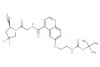 tert-butyl (S)-(2-((4-((2-(2-cyano-4,4-difluoropyrrolidin-1-yl)-2-oxoethyl)carbamoyl)quinolin-6-yl)oxy)ethyl)carbamate