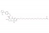 (S,R,S)-AHPC-PEG6-acid