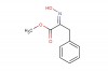 methyl (Z)-2-(hydroxyimino)-3-phenylpropanoate