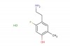 4-(2-aminoethyl)-5-fluoro-2-methylphenol hydrochloride