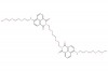 2,2'-((ethane-1,2-diylbis(oxy))bis(ethane-2,1-diyl))bis(6-((2-(2-(2-aminoethoxy)ethoxy)ethyl)amino)-1H-benzo[de]isoquinoline-1,3(2H)-dione)