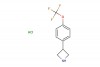3-(4-(trifluoromethoxy)phenyl)azetidine hydrochloride