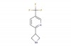 2-(azetidin-3-yl)-5-(trifluoromethyl)pyridine