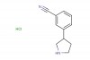 3-(pyrrolidin-3-yl)benzonitrile hydrochloride