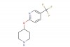 2-(piperidin-4-yloxy)-5-(trifluoromethyl)pyridine