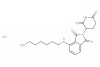 Pomalidomide-C6-amine HCl