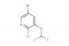 5-bromo-2-chloro-3-(difluoromethoxy)pyridine