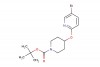 tert-butyl 4-((5-bromopyridin-2-yl)oxy)piperidine-1-carboxylate