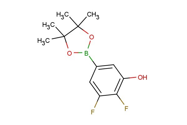 2,3-difluoro-5-(4,4,5,5-tetramethyl-1,3,2-dioxaborolan-2-yl)phenol