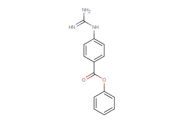 phenyl 4-guanidinobenzoate