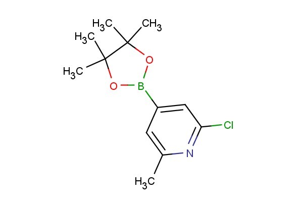 2-chloro-6-methyl-4-(4,4,5,5-tetramethyl-1,3,2-dioxaborolan-2-yl)pyridine