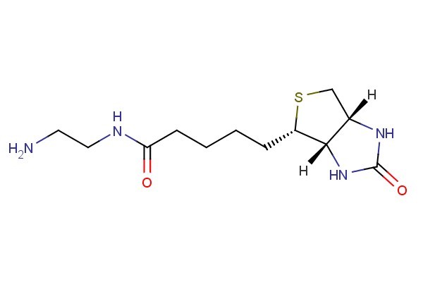 N-(2-aminoethyl)-5-((3aS,4S,6aR)-2-oxohexahydro-1H-thieno[3,4-d]imidazol-4-yl)pentanamide