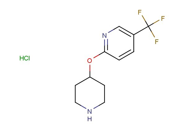 2-(piperidin-4-yloxy)-5-(trifluoromethyl)pyridine hydrochloride