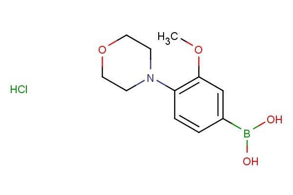 (3-methoxy-4-morpholinophenyl)boronic acid hydrochloride
