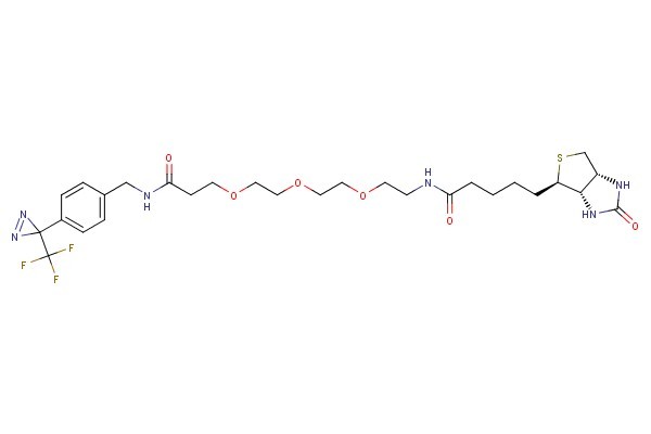 Biotin-PEG3-CONH-Ph-CF3-diazirine