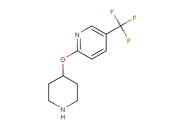 2-(piperidin-4-yloxy)-5-(trifluoromethyl)pyridine