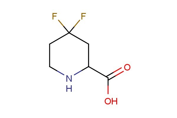 4,4-difluoropiperidine-2-carboxylic acid