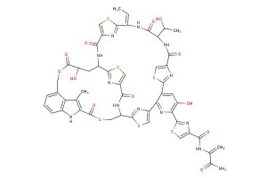 Nosiheptide