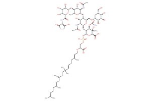 Flavomycin; Bambermycin