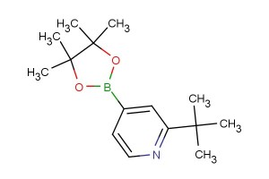 2-(tert-butyl)-4-(4,4,5,5-tetramethyl-1,3,2-dioxaborolan-2-yl)pyridine