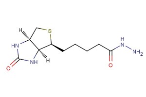 5-((3aS,4S,6aR)-2-oxohexahydro-1H-thieno[3,4-d]imidazol-4-yl)pentanehydrazide