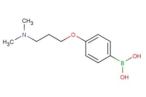 4-(3-(dimethylamino)propoxy)phenylboronic acid