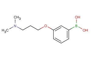 (3-(3-(dimethylamino)propoxy)phenyl)boronic acid