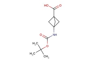 3-((tert-butoxycarbonyl)amino)bicyclo[1.1.1]pentane-1-carboxylic acid