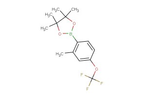 4,4,5,5-tetramethyl-2-(2-methyl-4-(trifluoromethoxy)phenyl)-1,3,2-dioxaborolane
