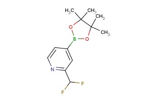 2-(difluoromethyl)-4-(4,4,5,5-tetramethyl-1,3,2-dioxaborolan-2-yl)pyridine