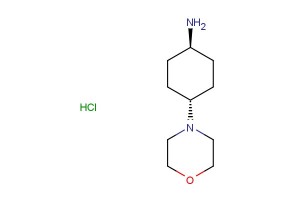 trans-4-morpholinocyclohexanamine hydrochloride