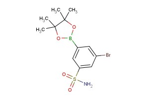 3-bromo-5-(4,4,5,5-tetramethyl-1,3,2-dioxaborolan-2-yl)benzenesulfonamide