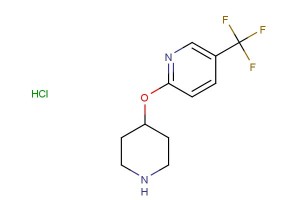 2-(piperidin-4-yloxy)-5-(trifluoromethyl)pyridine hydrochloride