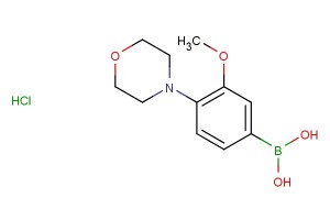 (3-methoxy-4-morpholinophenyl)boronic acid hydrochloride