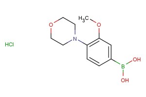 (3-methoxy-4-morpholinophenyl)boronic acid hydrochloride