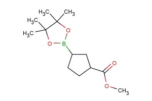methyl 3-(4,4,5,5-tetramethyl-1,3,2-dioxaborolan-2-yl)cyclopentane-1-carboxylate