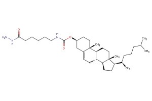 (3S,8S,9S,10R,13R,14S,17R)-10,13-dimethyl-17-((R)-6-methylheptan-2-yl)-2,3,4,7,8,9,10,11,12,13,14,15,16,17-tetradecahydro-1H-cyclopenta[a]phenanthren-3-yl (6-hydrazinyl-6-oxohexyl)carbamate